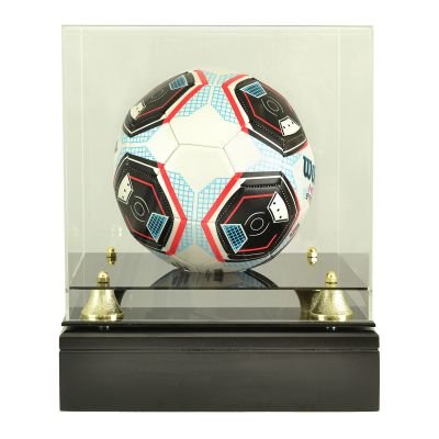 Soccer Ball Display Urn